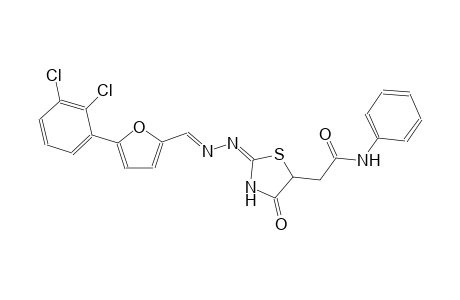 2-[(2E)-2-((2E)-2-{[5-(2,3-dichlorophenyl)-2-furyl]methylene}hydrazono)-4-oxo-1,3-thiazolidin-5-yl]-N-phenylacetamide