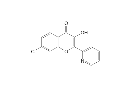 7-CHLORO-3-HYDROXY-2-(2-PYRIDYL)CHROMONE
