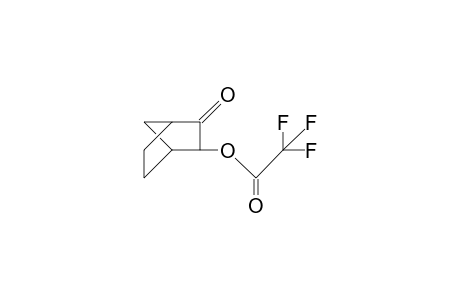 2-exo-Trifluoroacetoxy-bicyclo(2.2.1)heptan-3-one