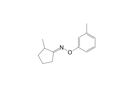 1-(2-Methylcyclopentylideneamino)oxy-3-methylbenzene