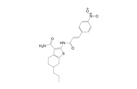 2-{[(2E)-3-(4-nitrophenyl)-2-propenoyl]amino}-6-propyl-4,5,6,7-tetrahydro-1-benzothiophene-3-carboxamide