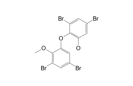 3,5-dibromo-2-(3,5-dibromo-2-methoxyphenoxy)phenol