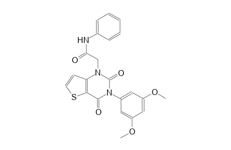 2-(3-(3,5-dimethoxyphenyl)-2,4-dioxo-3,4-dihydrothieno[3,2-d]pyrimidin-1(2H)-yl)-N-phenylacetamide