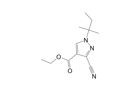 1-tert-amyl-3-cyano-pyrazole-4-carboxylic acid ethyl ester