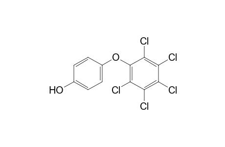 4-(2,3,4,5,6-Pentachlorophenoxy)phenol
