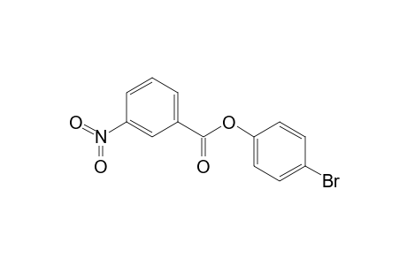 3-Nitrobenzoic acid (4-bromophenyl) ester