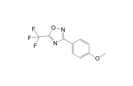 3-(4-Methoxyphenyl)-5-(trifluoromethyl)-1,2,4-oxadiazole
