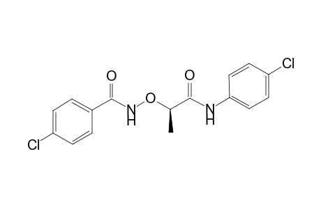 D-p-Chlorophenyl 2-p-chlorophenylcarbonylaminoxypropanoamide