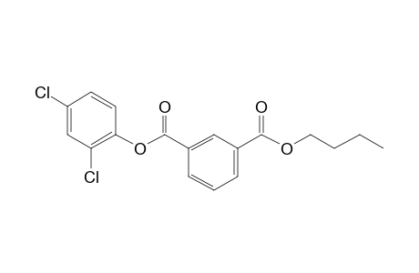 Isophthalic acid, butyl 2,4-dichlorophenyl ester