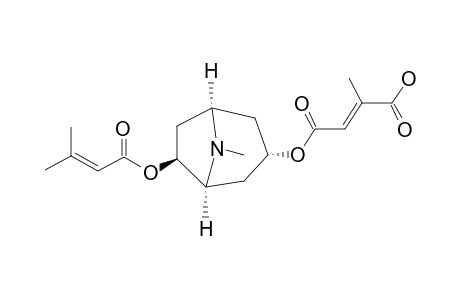 SCHIZANTHINE_P;3-ALPHA-MESACONYLOXY-6-BETA-SENECIOYLOXYTROPANE