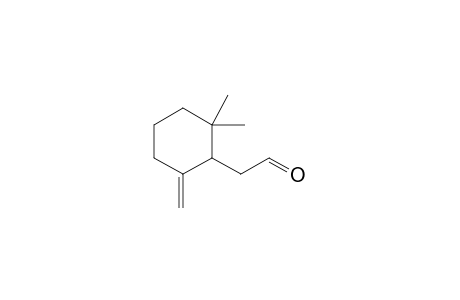 2-(2,2-dimethyl-6-methylene-cyclohexyl)acetaldehyde