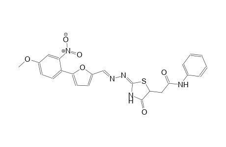 2-[(2E)-2-((2E)-2-{[5-(4-methoxy-2-nitrophenyl)-2-furyl]methylene}hydrazono)-4-oxo-1,3-thiazolidin-5-yl]-N-phenylacetamide