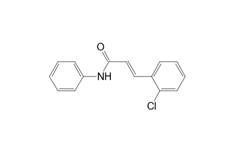 (E)-3-(2-chlorophenyl)-N-phenyl-2-propenamide