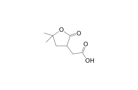 3-furanacetic acid, tetrahydro-5,5-dimethyl-2-oxo-