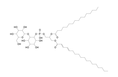 Ac2PIM1 16:0_18:2