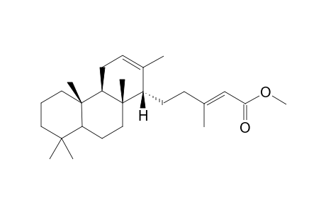14.alpha.-Cheilanth-12-enic Methyl Ester
