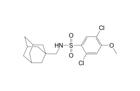 N-(1-adamantylmethyl)-2,5-dichloro-4-methoxybenzenesulfonamide