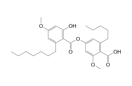 2'-O-Methylisohyperlatolic Acid