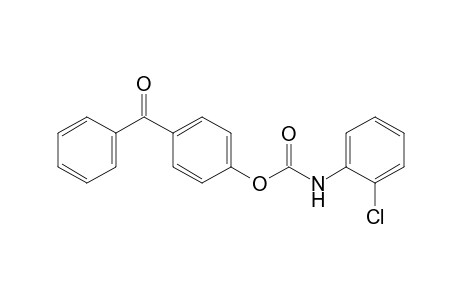 4-hydroxybenzophenone, o-chlorocarbanilate