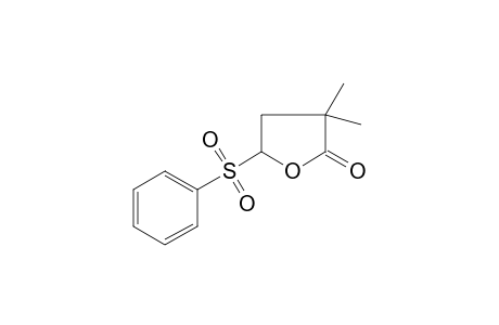 3,3-dimethyl-5-phenylsulfonyloxolan-2-one