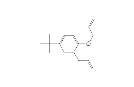 Benzene, 4-(1,1-dimethylethyl)-2-(2-propenyl)-1-(2-propenyloxy)-