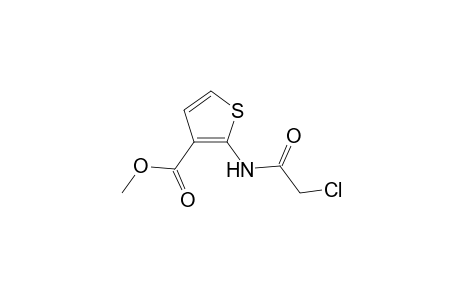 2-[(2-chloro-1-oxoethyl)amino]-3-thiophenecarboxylic acid methyl ester
