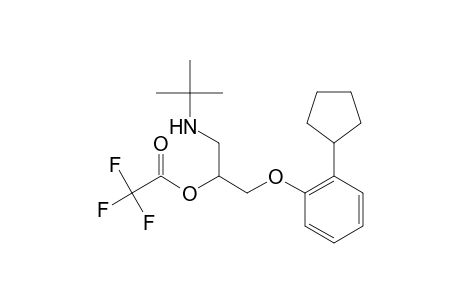 (Trifluoroacetyl)penbutolol