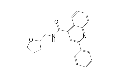 2-phenyl-N-(tetrahydro-2-furanylmethyl)-4-quinolinecarboxamide