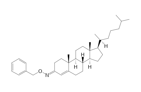 (ANTI)-4-CHOLESTEN-3-O-BENZYLOXIME