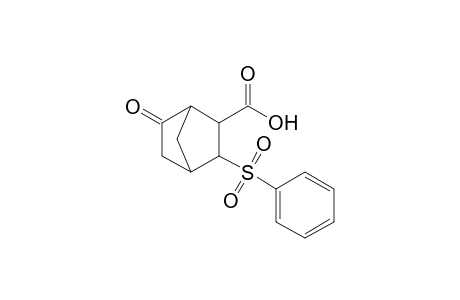 2-(benzenesulfonyl)-5-oxo-3-bicyclo[2.2.1]heptanecarboxylic acid