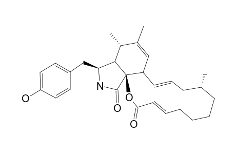 CYTOCHALASIN-Z1;(6Z,13E,16R,21E)-16-METHYL-10-(4-HYDROXY)-PHENYL-24-OXA-[14]-CYTOCHALASA-6(7),13,21-TRIENE-1,23-DIONE