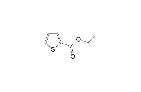 2-Thiophenecarboxylic acid ethyl ester