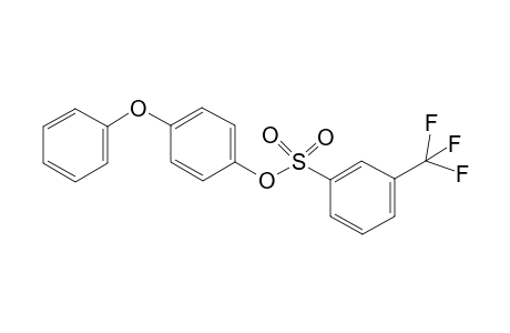 4-Phenoxyphenyl 3-(trifluoromethyl)benzenesulfonate