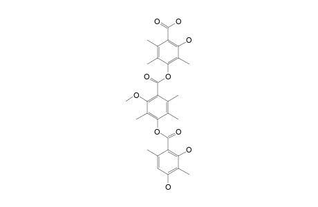 THIELAVIN-K;4-[4'-(2'',4''-DIHYDROXY-3'',6''-DIMETHYLBENZOYLOXY)-3',5',6'-TRIMETHYL-2'-METHOXYBENZOYLOXY]-2-HYDROXY-3,5,6-TRIMETHYLBENZOIC-ACID