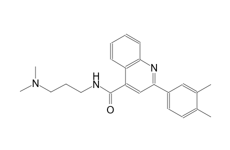 N-[3-(dimethylamino)propyl]-2-(3,4-dimethylphenyl)-4-quinolinecarboxamide