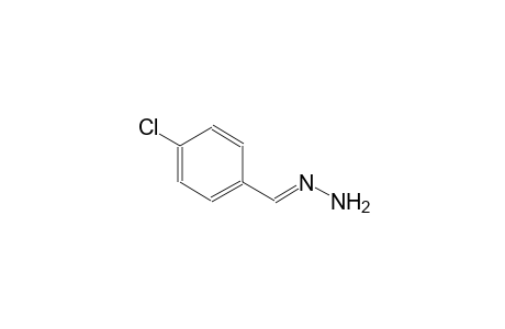 4-Chlorobenzaldehyde hydrazone