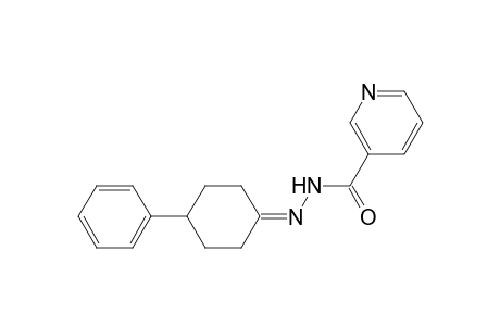 N'-(4-Phenylcyclohexylidene)nicotinohydrazide