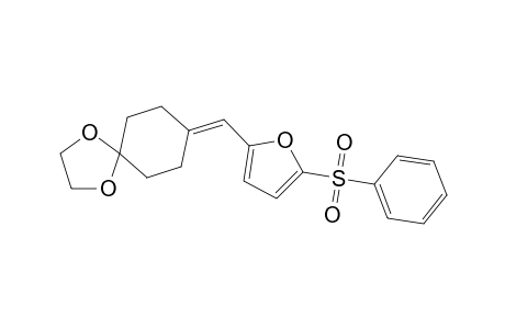 8-(5-Benzenesulfonylfuran-2-ylmethylene)-1,4-dioxaspiro[4.5]decane