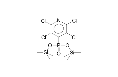O,O-BIS(TRIMETHYLSILYL)(2,3,5,6-TETRACHLOROPYRID-4-YL)PHOSPHONATE