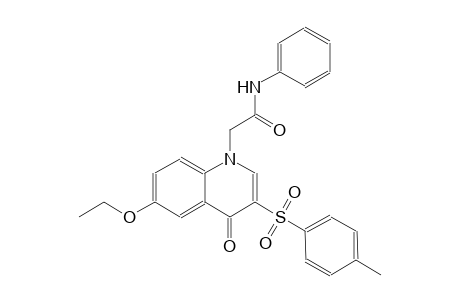 1-quinolineacetamide, 6-ethoxy-1,4-dihydro-3-[(4-methylphenyl)sulfonyl]-4-oxo-N-phenyl-
