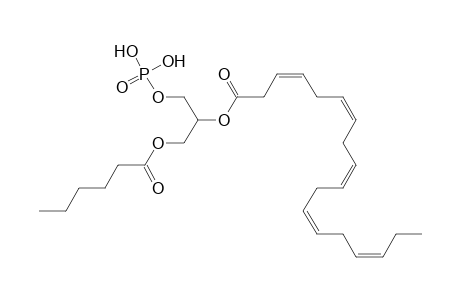 PA 6:0_18:5