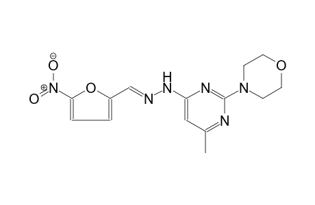 5-nitro-2-furaldehyde [6-methyl-2-(4-morpholinyl)-4-pyrimidinyl]hydrazone