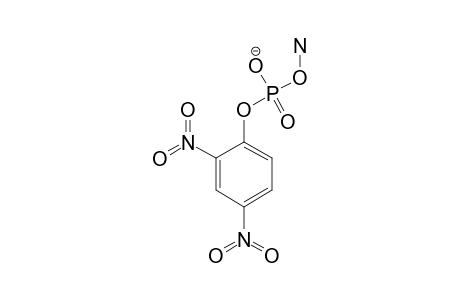 amino (2,4-dinitrophenyl) phosphate