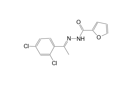 N'-[(E)-1-(2,4-dichlorophenyl)ethylidene]-2-furohydrazide