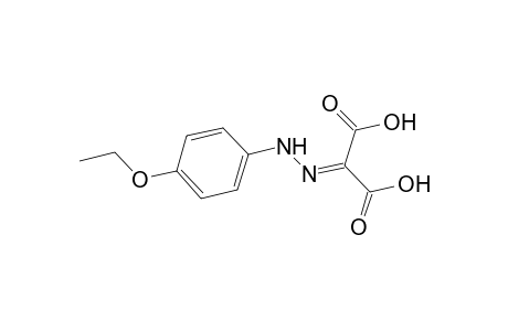 Propanedioic acid, [(4-ethoxyphenyl)hydrazono]-