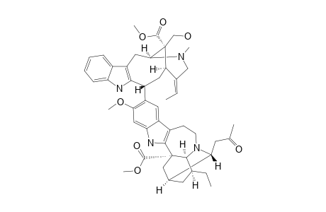 TABERNARICATINE_E