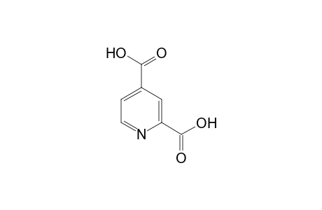 2,4-Pyridinedicarboxylic acid