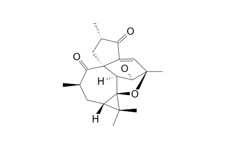 STEENKROTIN_A