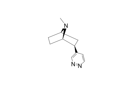 EXO-7-METHYL-2-(PYRIDAZIN-4-YL)-7-AZABICYCLO-[2.2.1]-HEPTANE