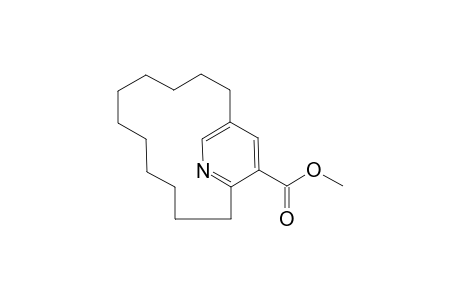 Methyl[11](2,5)pyridinophane-3-carboxylate